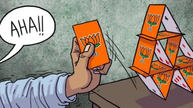House of cards BJP 1