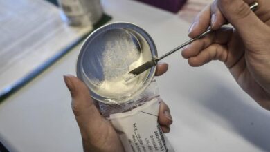 An analyst examines a suspected cocaine sample at 1675156195046 1686931324611