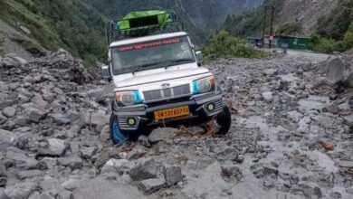 Badrinath National Highway blocked