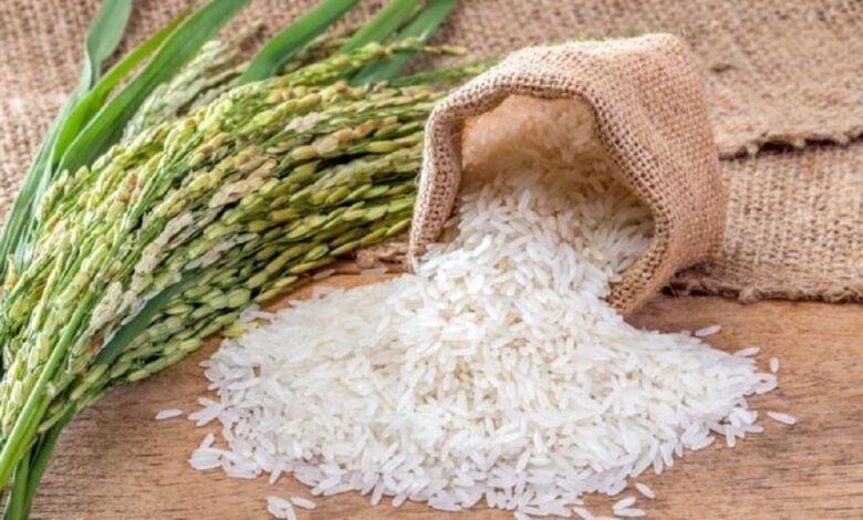 india rice export 1530355033 1568428150