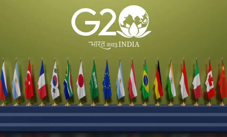 India G20 Development matters