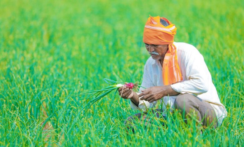 indian farmer at field picture id1160203931