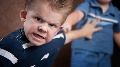 Aggression toward Siblings during the Preschool Years When Does It Become Atypical2