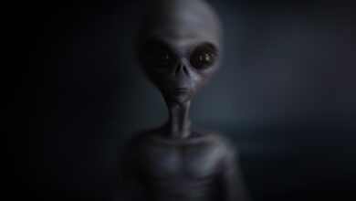 170801 alien extraterrestrial mn 1210