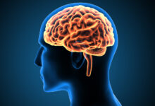 5 facts that you didnt know about the human brain neurospine surgical consultants